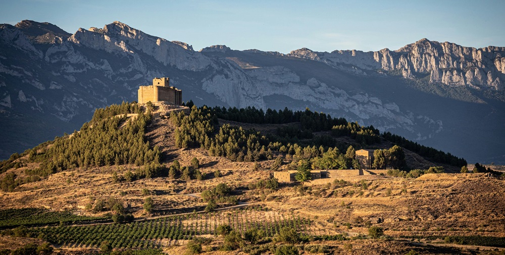 Berühmte Weinregionen der Welt: Rioja