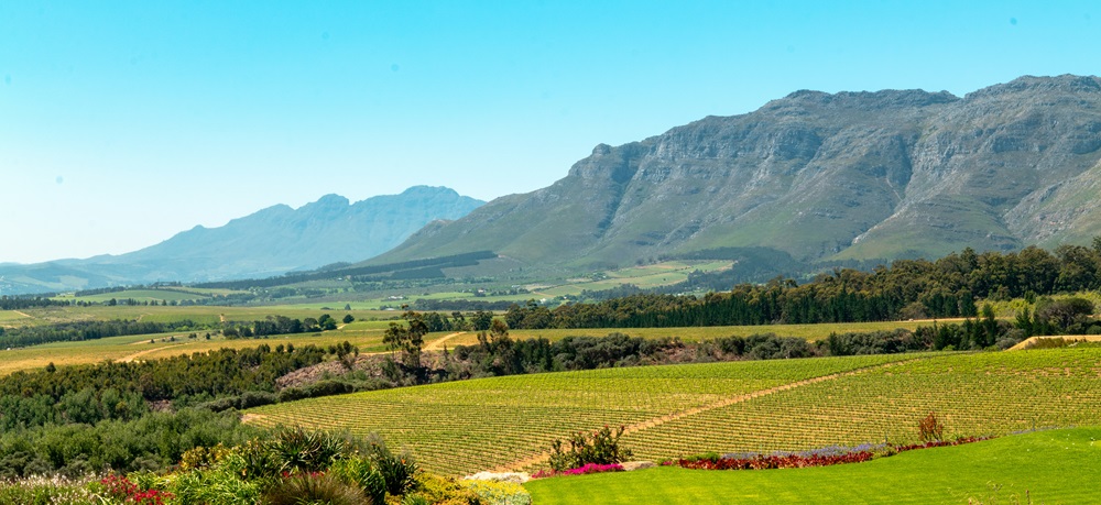 Berühmte Weinregionen der Welt: Stellenbosch